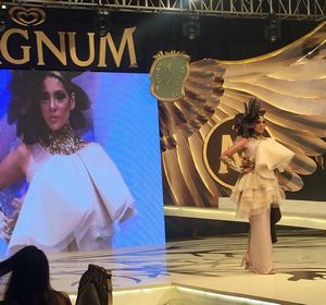 Wall's Magnum Party 2016 | Ali Zafar Expected to Join